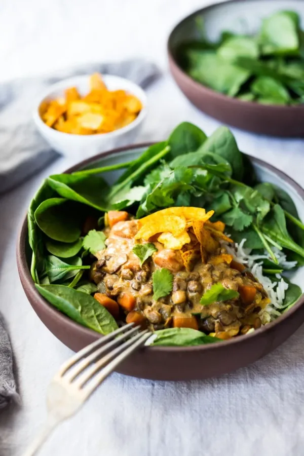 Instant-Pot-coconut-curry-lentils-110-600x900