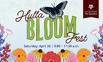 bloom