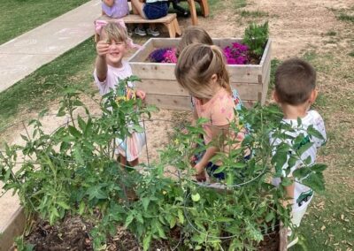 Group of kids looking at plants in a garden.